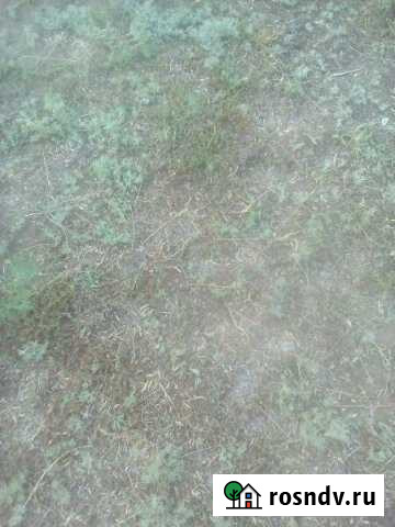 Участок СНТ, ДНП 4600 сот. в аренду в Соль-Илецке Соль-Илецк - изображение 1