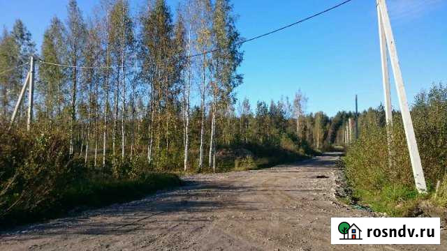 Участок СНТ, ДНП 12 сот. на продажу во Всеволожске Всеволожск - изображение 1