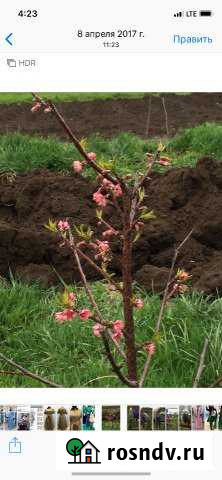 Участок ИЖС 16 сот. на продажу в Медведовской Медведовская - изображение 1