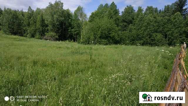 Участок СНТ, ДНП 20 сот. на продажу в Зыково Зыково - изображение 1