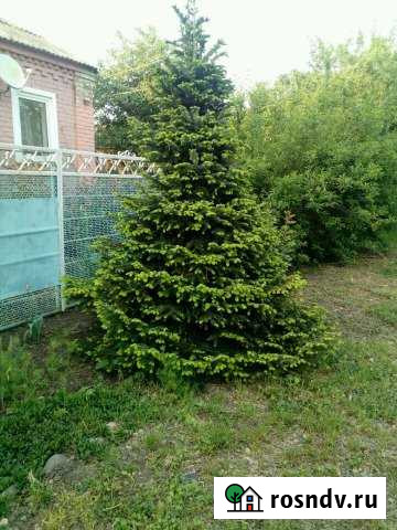 Дом 45 м² на участке 40 сот. на продажу в Кирпильской Кирпильская - изображение 1