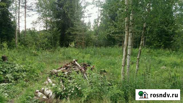 Участок СНТ, ДНП 6 сот. на продажу в Любане Любань - изображение 1