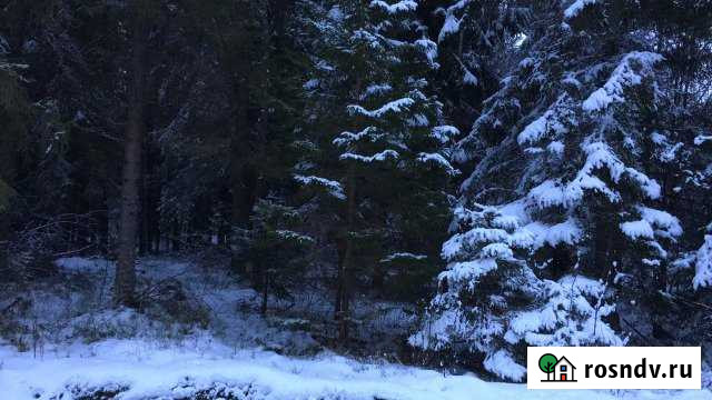 Участок СНТ, ДНП 10 сот. на продажу в Нурме Нурма - изображение 1