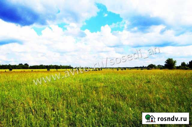 Участок ИЖС 11 сот. на продажу в Старой Руссе Старая Русса - изображение 1