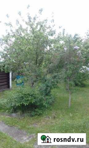 Дача 42 м² на участке 24 сот. на продажу в Ваче Вача - изображение 1