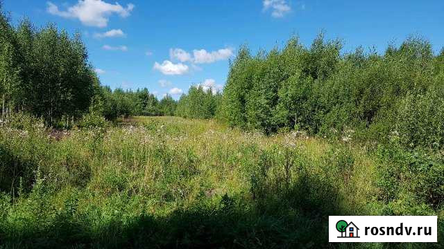 Участок ИЖС 25 сот. на продажу в Александрове Александров - изображение 1