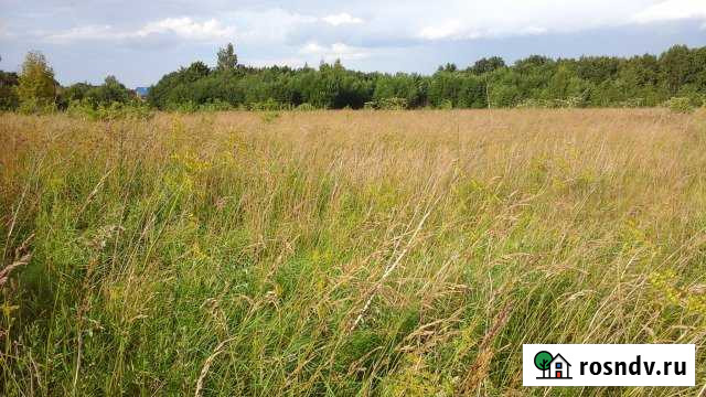 Участок СНТ, ДНП 1840 сот. на продажу в Печорах Печоры - изображение 1