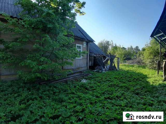 Участок СНТ, ДНП 16 сот. на продажу в Павлово Ленинградской области Павлово - изображение 1