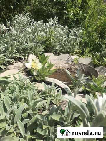 Дача 38 м² на участке 6 сот. на продажу в Черкесске Черкесск - изображение 1