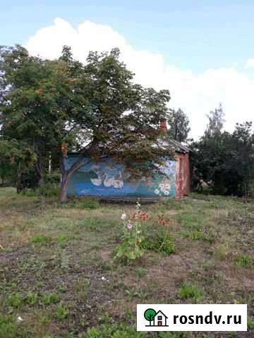 Дом 56 м² на участке 18 сот. на продажу в Совхозе Селезнёвском Совхоз Селезнёвский - изображение 1