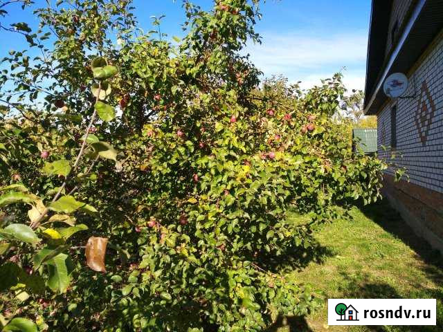 Дом 194 м² на участке 23 сот. на продажу в Пичаево Пичаево - изображение 1