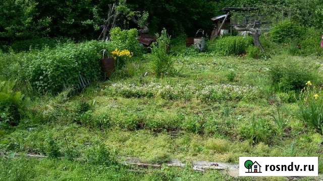 Участок СНТ, ДНП 4 сот. на продажу во Владимире Владимир - изображение 1