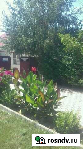 Дом 70 м² на участке 6 сот. на продажу в Витязево Витязево - изображение 1