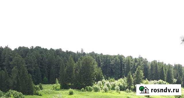 Участок ИЖС 10 сот. на продажу в Богашево Богашево - изображение 1