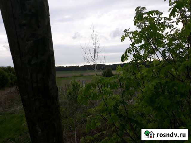 Участок ИЖС 37 сот. на продажу в Усть-Кишерти Усть-Кишерть - изображение 1