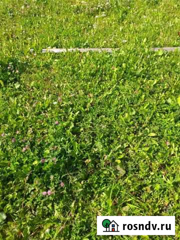 Участок СНТ, ДНП 8 сот. на продажу в Билимбае Билимбай - изображение 1