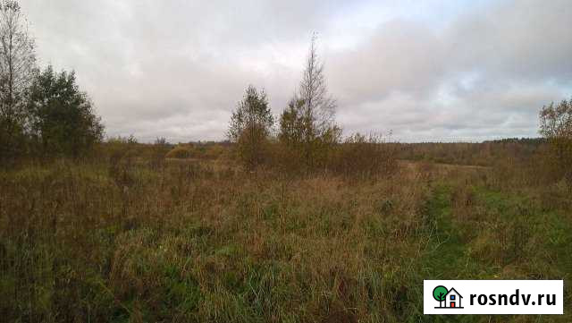 Участок СНТ, ДНП 220 сот. на продажу в Лесколово Лесколово - изображение 1