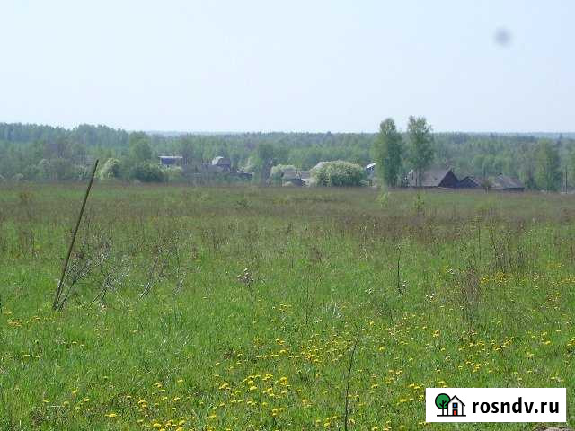 Участок ИЖС 10 сот. на продажу в Никольском Костромской области Никольское - изображение 1