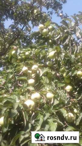 Дом 70 м² на участке 20 сот. на продажу в Починках Починки - изображение 1