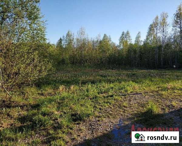 Участок СНТ, ДНП 10 сот. на продажу во Всеволожске Всеволожск - изображение 1