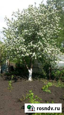 Дача 38 м² на участке 6 сот. на продажу в Ленинске-Кузнецком Ленинск-Кузнецкий - изображение 1