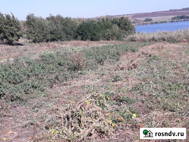 Участок ИЖС 20 сот. на продажу в Новолабинской Новолабинская - изображение 1