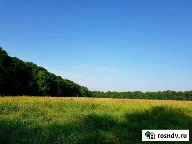 Участок СНТ, ДНП 2000 сот. на продажу в Узуново Узуново - изображение 1