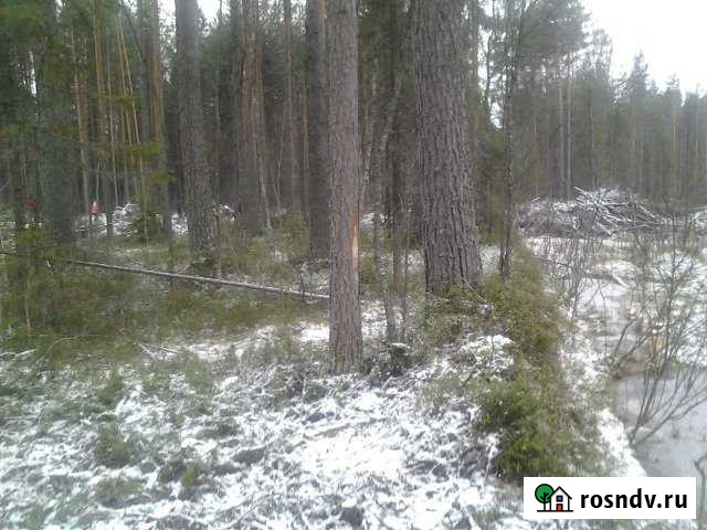 Участок ИЖС 12 сот. на продажу в Краснозатонском Краснозатонский - изображение 1