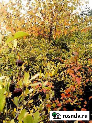 Участок СНТ, ДНП 3 сот. на продажу в Каменске-Уральском Каменск-Уральский - изображение 1