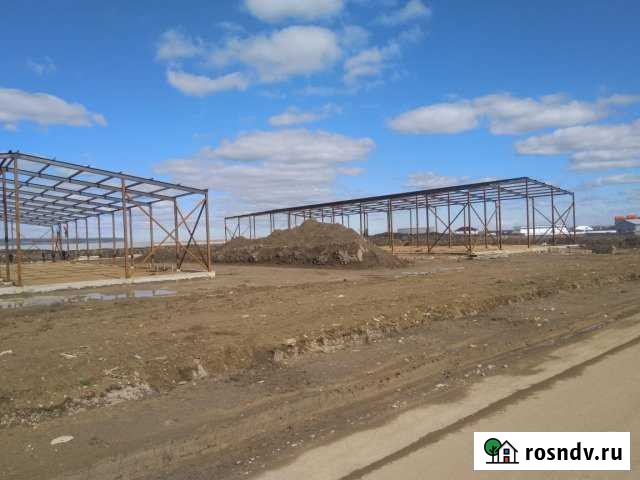 Участок промназначения 50 сот. на продажу в Федоровском Ленинградской области Федоровское - изображение 1