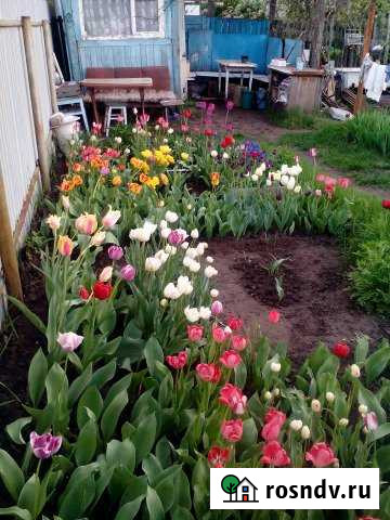 Участок СНТ, ДНП 10 сот. на продажу в Новокуйбышевске Новокуйбышевск - изображение 1