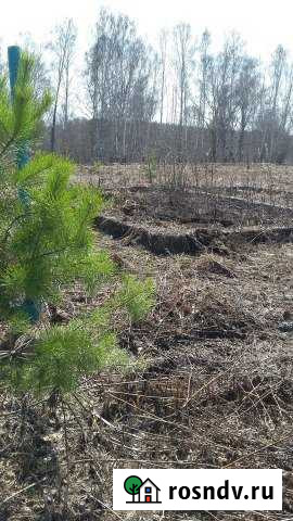 Участок СНТ, ДНП 10 сот. на продажу в Бердске Бердск - изображение 1