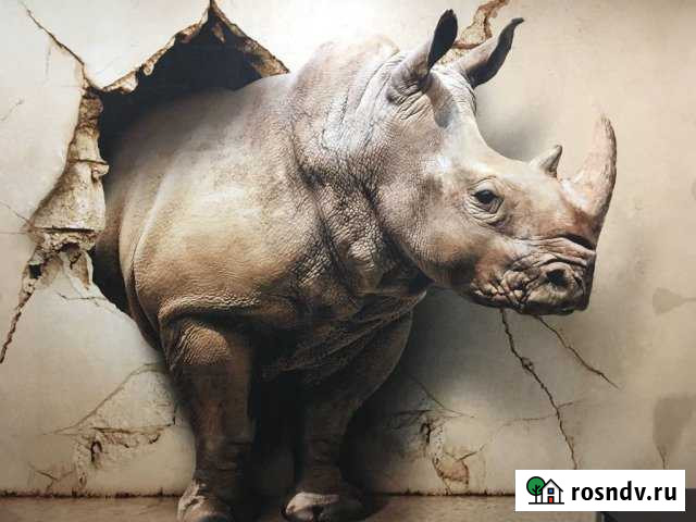 1-комнатная квартира, 45 м², 16/17 эт. в аренду на длительный срок в Воскресенском Московской области Воскресенское - изображение 1