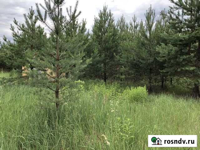 Участок ИЖС 10 сот. на продажу в Электростали Электросталь - изображение 1