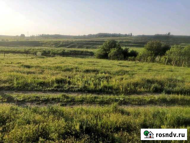 Участок ИЖС 14 сот. на продажу в Жаворонках Жаворонки - изображение 1