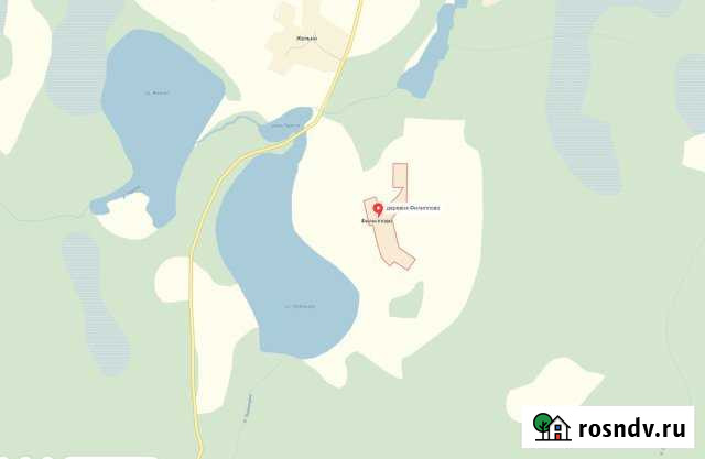 Участок СНТ, ДНП 1300 сот. на продажу в Андреаполе Андреаполь - изображение 1