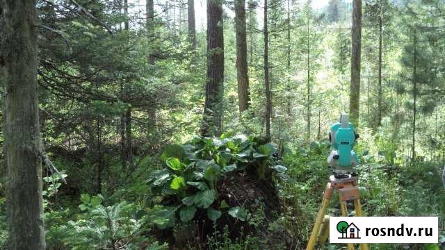 Участок ИЖС 15 сот. на продажу в Турочаке Турочак - изображение 1