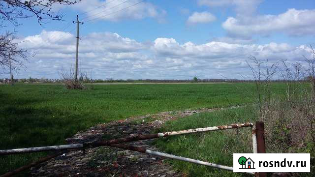 Участок СНТ, ДНП 242 сот. на продажу в Динской Динская - изображение 1