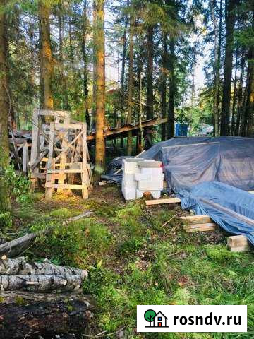 Участок СНТ, ДНП 20 сот. на продажу в Сертолово Сертолово - изображение 1