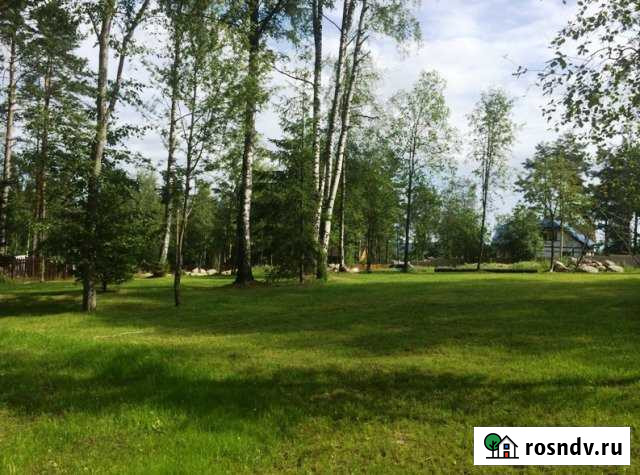 Участок СНТ, ДНП 18 сот. на продажу в Сосново Сосново - изображение 1