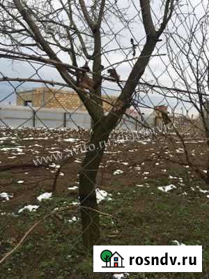 Участок СНТ, ДНП 5 сот. на продажу в Керче Керчь - изображение 1