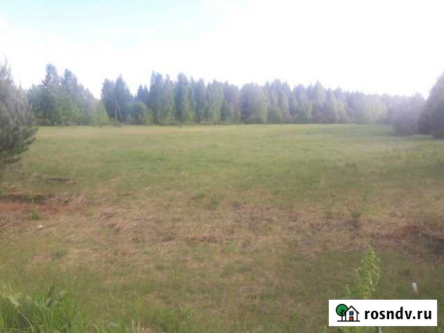 Участок СНТ, ДНП 120 сот. на продажу в Некрасовском Ярославской области Некрасовское - изображение 1