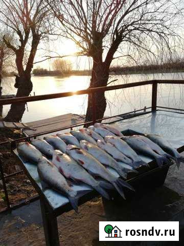 Дом 100 м² на участке 10 сот. в аренду посуточно в Володарском Володарский - изображение 1