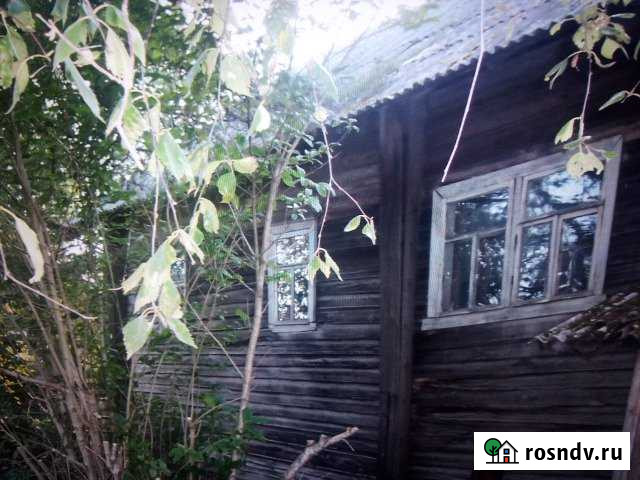 Участок ИЖС 600 сот. на продажу в Пикалево Пикалево - изображение 1