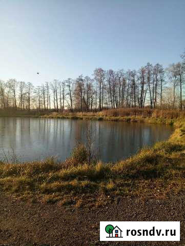 Участок СНТ, ДНП 12 сот. на продажу в Старой Купавне Старая Купавна - изображение 1