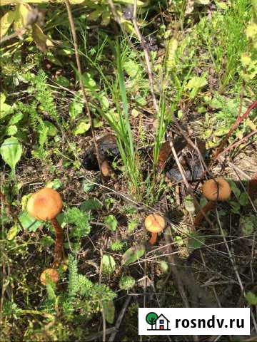 Участок СНТ, ДНП 10 сот. на продажу в Киржаче Киржач - изображение 1