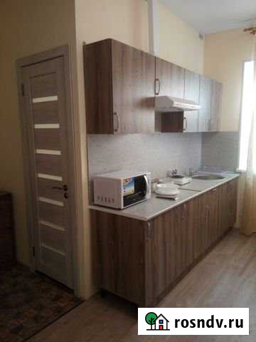 Квартира-студия, 22 м², 1/3 эт. в аренду на длительный срок в Удельной Удельная - изображение 1