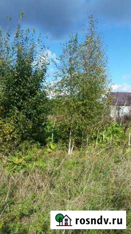 Участок ИЖС 30 сот. на продажу на Лугах Луга - изображение 1