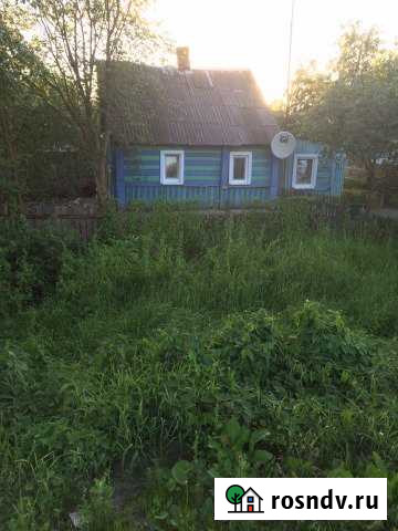 Дом 35 м² на участке 12 сот. на продажу в Бежаницах Бежаницы - изображение 1