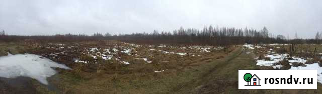 Участок СНТ, ДНП 1500 сот. на продажу в Жарковском Жарковский - изображение 1